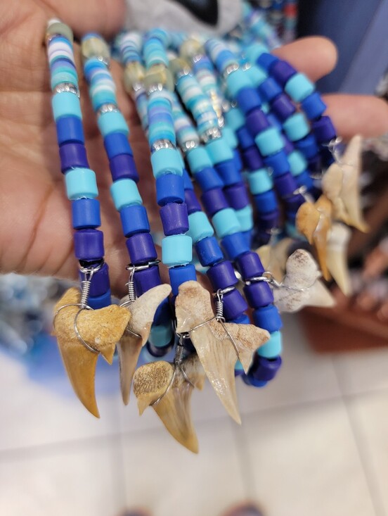 The Unbranded Brand Jewelry - 1pc Blue Beaded Shark Tooth Necklace
